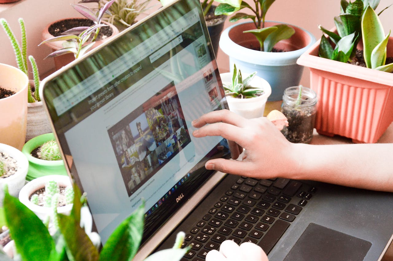 why-choose-us A woman engaging in online activities on a laptop surrounded by houseplants.
